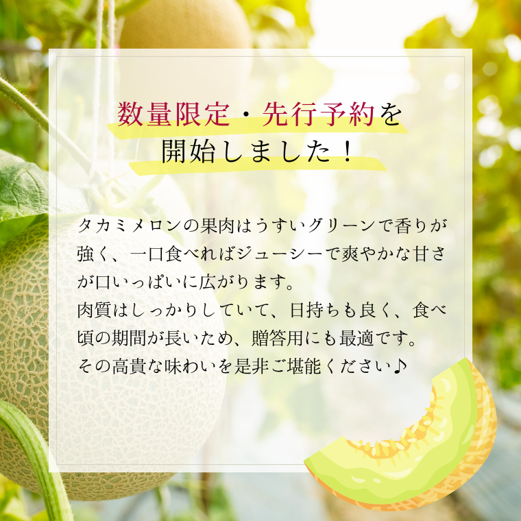 先行予約 6月中旬以降発送 】 令和6年産 タカミ メロン 1箱 秀品 3～4玉入り 期間限定 産地直送 果物 フルーツ メロン 青肉 甘い  [AV008ya] / 茨城県八千代町 | セゾンのふるさと納税