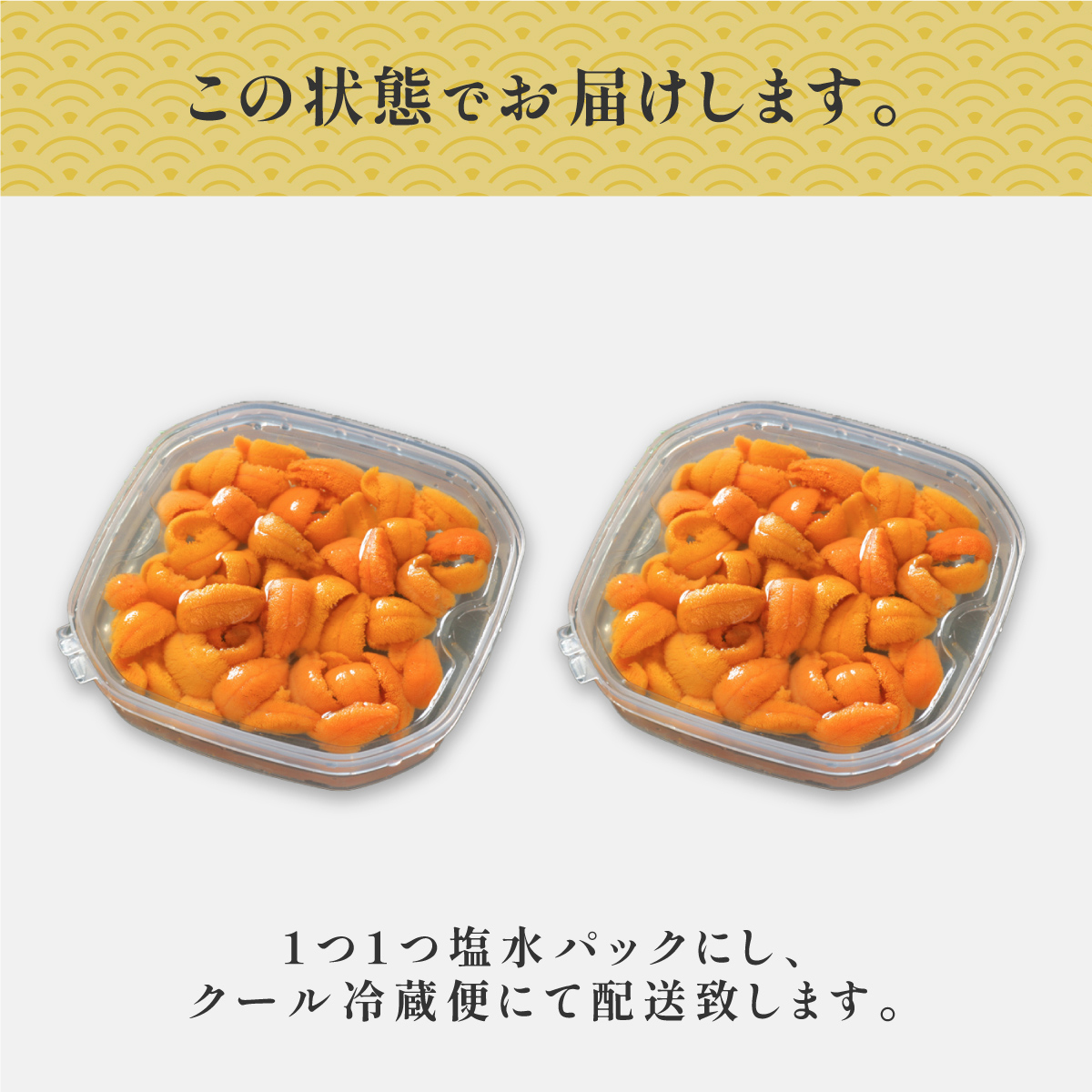 北海道登別市のふるさと納税 無添加　極上エゾバフンウニ塩水パック 200g（100g×2パック）