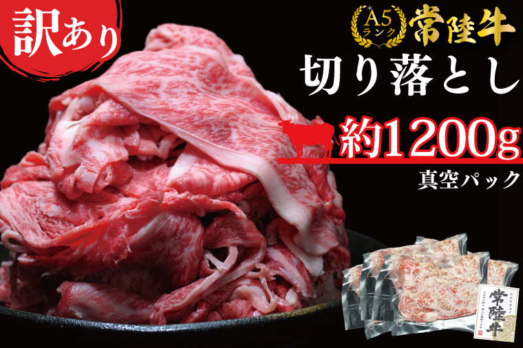 y錧sszDT-54@헤A5Ny󂠂z헤؂藎Ƃ(؂) 1200(300g×4pbN)