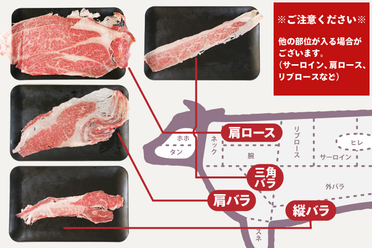 茨城県行方市のふるさと納税 DT-54　★常陸牛A5ランク★【訳あり】常陸牛切り落とし(薄切り) 約1200ｇ(約300g×4パック)