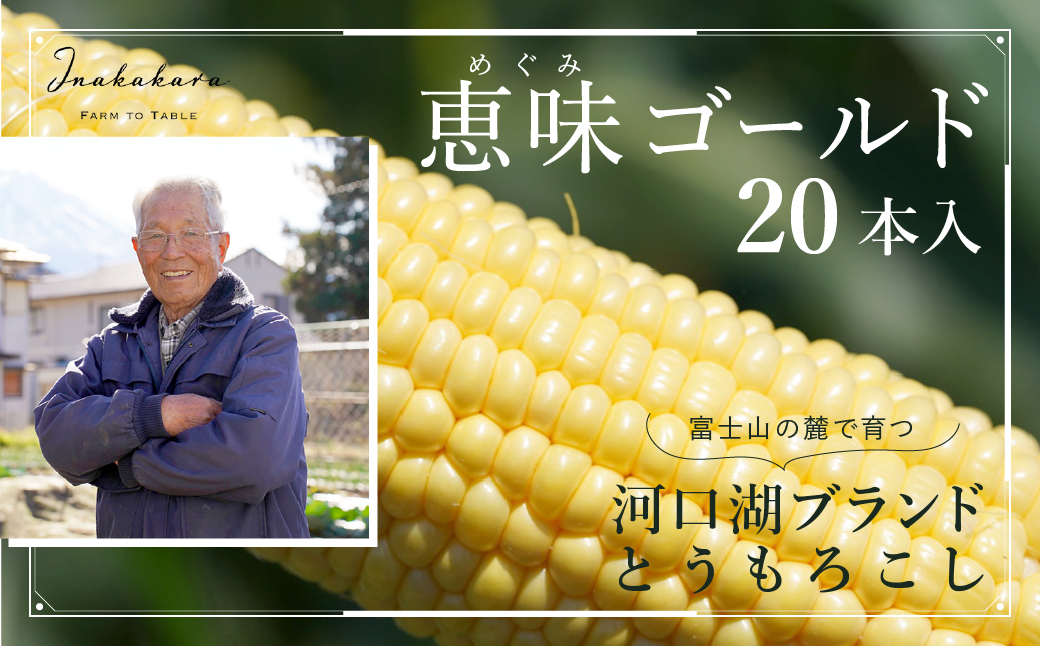 ＜2025年先行予約＞【富士山の麓で育つ】河口湖ブランドとうもろこしInakakara「恵味ゴールド」20本入 FBA003|株式会社アクロプラス