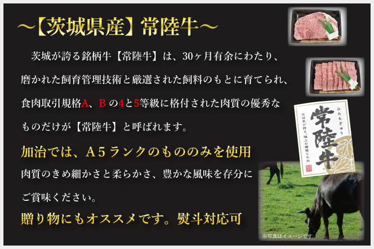 茨城県行方市のふるさと納税 DT-59　バーベキューセット（3～5人前）【合計１.４kg以上】