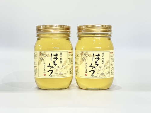 国産 はちみつ アカシア 500ｇ×2本入り セット ／ 長谷川養蜂 希少 ハチミツ 蜂蜜 三重県 南伊勢町 伊勢志摩|株式会社　長谷川養蜂