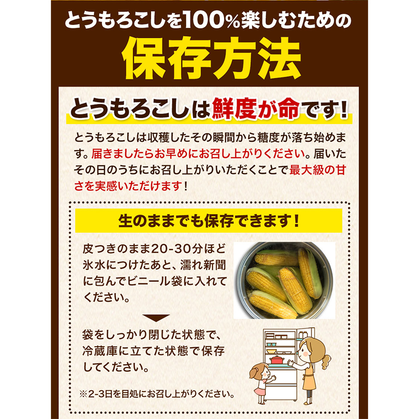 だいだいまん　とうもろこし３０本 green-loft_2184