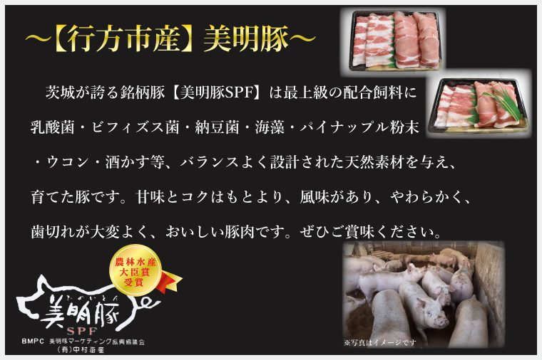 茨城県行方市のふるさと納税 DT-44【美明豚】カレー５袋