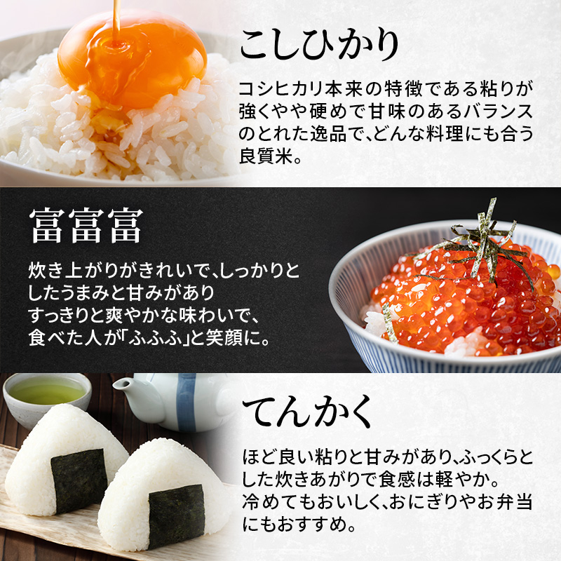 ふるさとのお米 2合 12個 セット てんたかく こしひかり 富富富 詰め合わせ ギフト 米 お米 こめ コメ おこめ 白米|株式会社 大空