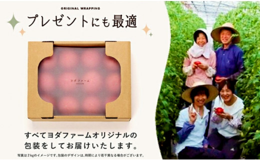 山梨県市川三郷町のふるさと納税 【中央市共通返礼品】2024年10月頃から発送　トマト 約2kg 先行予約 送料無料  贈答にも おまけ付き ヨダファーム ジュース ソースにも [5839-1548]