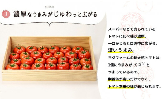 山梨県市川三郷町のふるさと納税 【中央市共通返礼品】2024年10月頃から発送　トマト 約2kg 先行予約 送料無料  贈答にも おまけ付き ヨダファーム ジュース ソースにも [5839-1548]