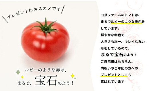 山梨県市川三郷町のふるさと納税 【中央市共通返礼品】2024年10月頃から発送　トマト 約2kg 先行予約 送料無料  贈答にも おまけ付き ヨダファーム ジュース ソースにも [5839-1548]