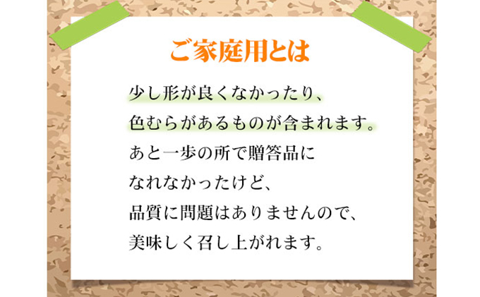 岡山県瀬戸内市のふるさと納税 ぶどう 2025年 先行予約 ご家庭用 シャイン マスカット 晴王 3～6房 約1.5kg ブドウ 葡萄  岡山県産 国産 フルーツ 果物 岡山のぶどう 旬のフルーツ 旬の果物 大粒 種無し