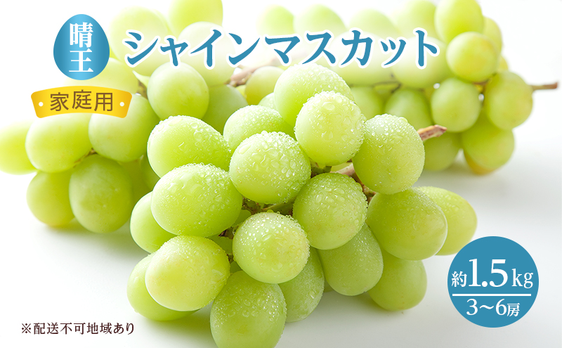 ご家庭用 シャインマスカット 晴王 3～6房 約1.5kg 葡萄 ぶどう 果物 フルーツ 岡山県産 2023年