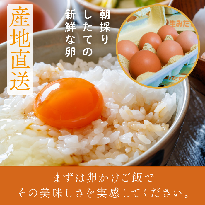 茨城県行方市のふるさと納税 U-5 ◆6ヵ月定期便◆ 黄身がしっかり濃厚な卵【アスタの恵み】50個×6