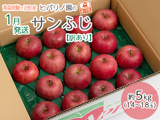 【1月発送】【訳あり】ヒバリノ園のサンふじ 約5kg（14～18玉）青森県鰺ヶ沢町さんりんご※オンライン決済のみ