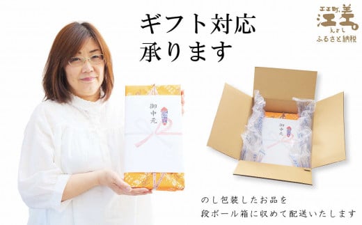 北海道江差町のふるさと納税 五勝手屋本舗『丸缶羊羹（ようかん）』10本セット　金時豆のようかん　保存料不使用　五勝手屋羊羹の老舗　和菓子　銘菓　名物　贈答用　ギフト　お中元　お歳暮　お祝い　のし　熨斗