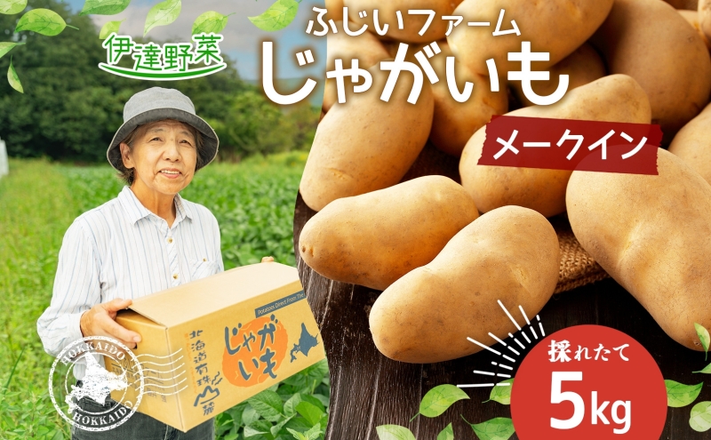 北海道産 じゃがいも メークイン 約5kg ジャガイモ 馬鈴薯 ポテト 芋 イモ 旬 産地直送 国産 野菜 農作物 甘い ホクホク しっとり 煮物 カレー 肉じゃが 人気 ふじいファーム  送料無料