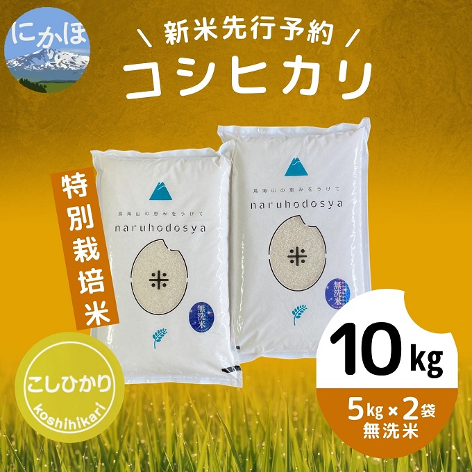 [令和5年産新米予約][無洗米]特別栽培米コシヒカリ10kg(5kg×2)