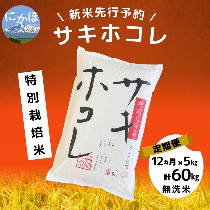 とちぎの星令和５年産 秋田県産 新米あきたこまち24kg 特別栽培米 有機米 無洗米も対応
