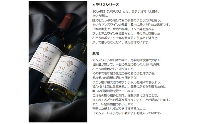 ソラリス 千曲川 カベルネ・ソーヴィニヨン 750ml×1本 赤ワイン
