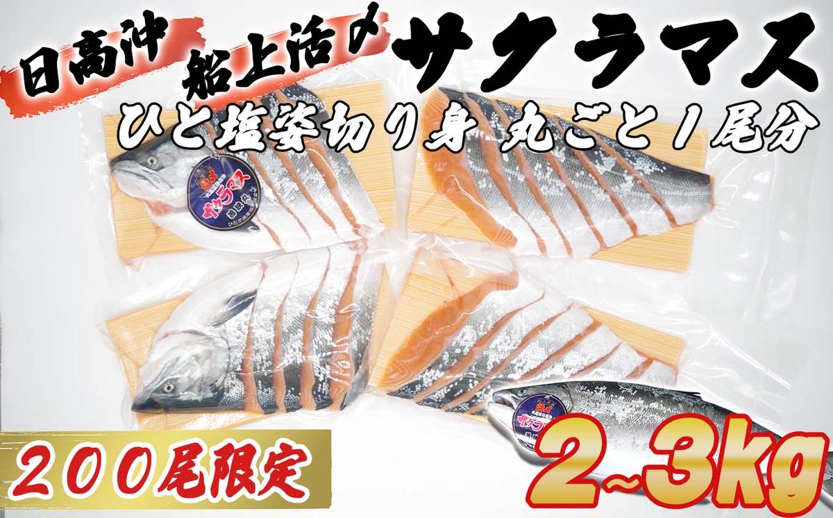 [3月31日までの受付] 北海道産 サクラマス ひと塩 姿切り身 2kg 〜 3kg まるごと 1尾 期間限定