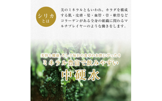 A0-360 関平鉱泉水(ペットボトル)2L×10本！霧島山麓の大自然の中から