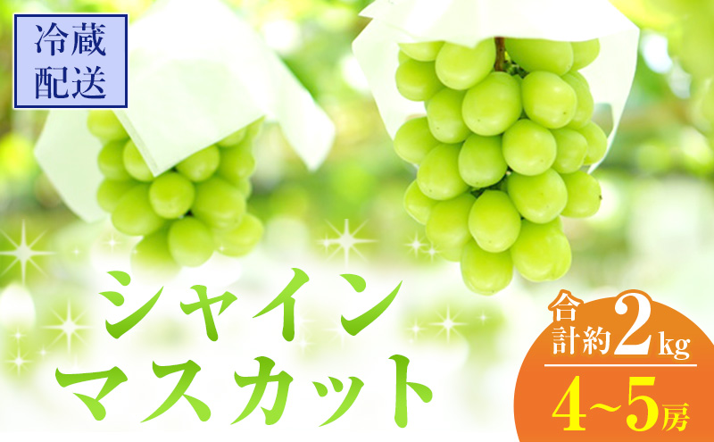 岡山県高梁市のふるさと納税 2024年 先行予約 シャインマスカット 4～5房 合計約2kg 冷蔵配送 ぶどう 葡萄 フルーツ 果物 岡山