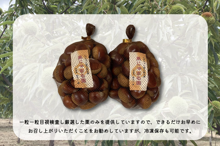 ER-2 【先行予約】【９月発送】石岡鶴沼の生栗 ２kg（茨城県共通返礼品