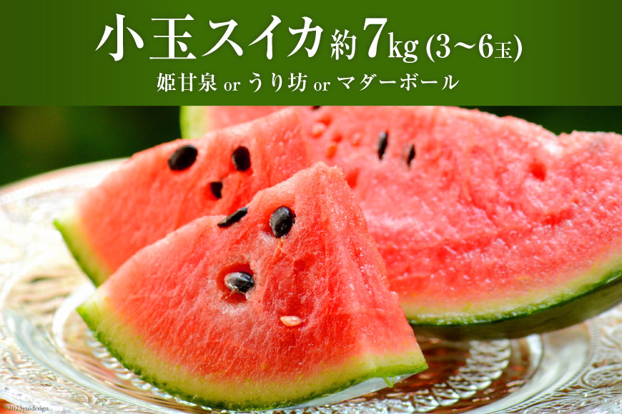 長崎県島原市のふるさと納税 AH006 夏の定番 小玉すいか 約7kg（3～6玉） [古川青果店 長崎県 島原市 AH006] 果物 フルーツ すいか