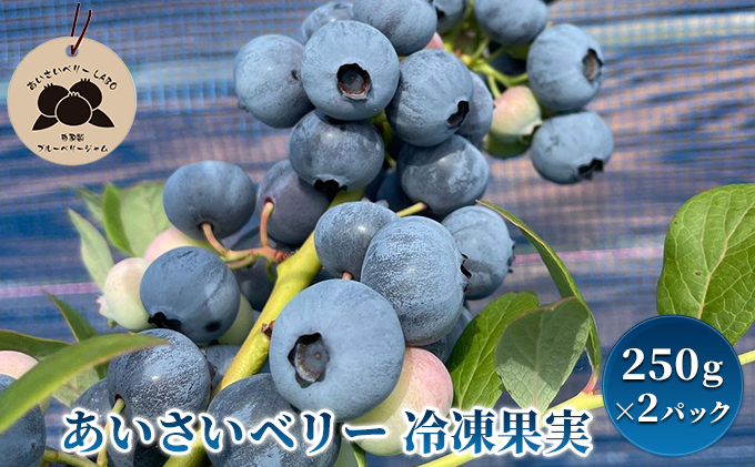 あいさいベリー（冷凍果実）250g×2パック（愛知県愛西市） ふるさと納税サイト「ふるさとプレミアム」