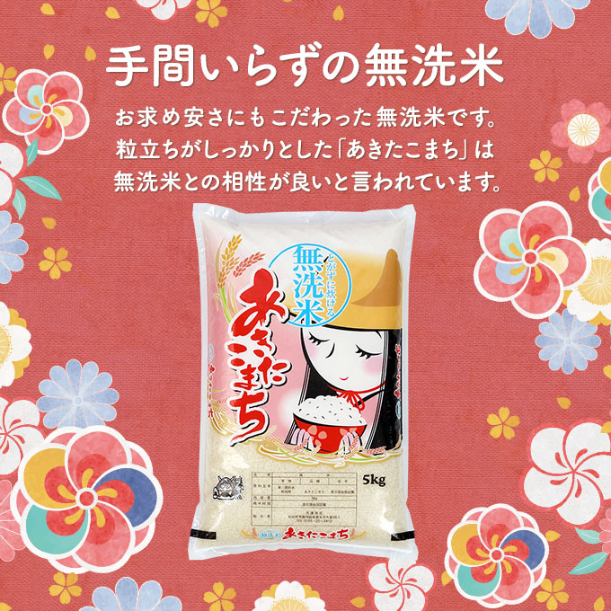 秋田県男鹿市のふるさと納税 R6年度産  あきたこまち 無洗米 5kgｘ4袋『こまち娘』吉運商店 秋田県 男鹿市