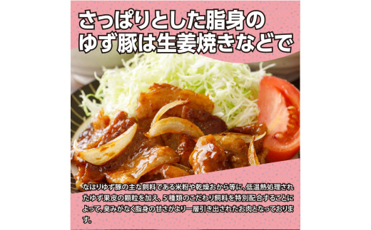 なはりゆず豚満喫セット 1.15kg - 豚バラ ロース モモ 肩ロース 挽き肉 ひき肉 豚 豚肉 国産 詰め合わせ セット 冷凍 料理 おうちごはん  個包装 11000円 高知県産 高知