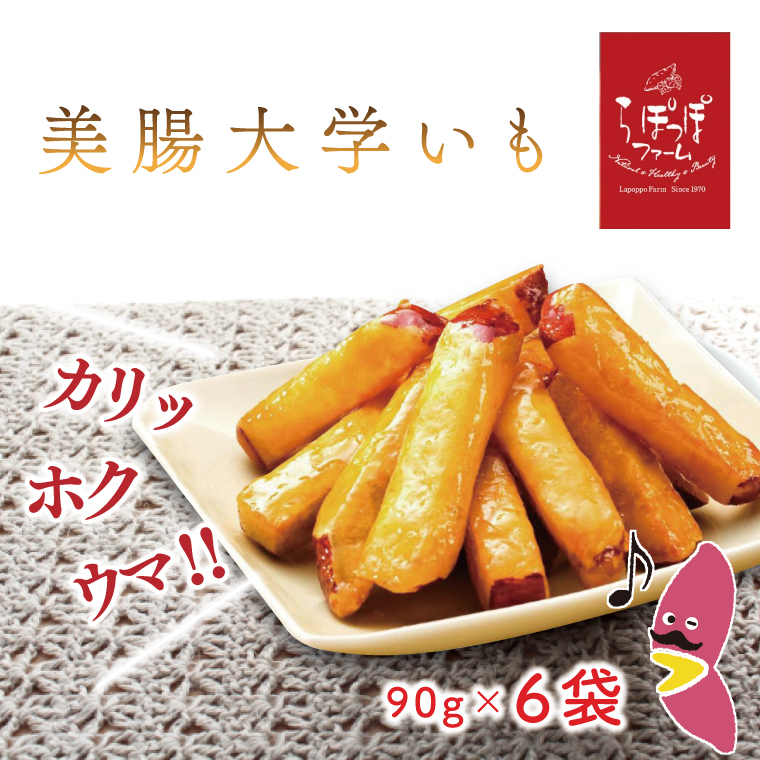 y錧sszۂۃt@[@w@90g×6܁b܂ w  Tc}C  XC[c َq Ⓚ w lC  錧 ss ۂۃt@[(CQ-14)