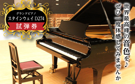 【熊本県嘉島町】FKK19-00A_スタインウェイD274 試弾券 熊本県 嘉島町