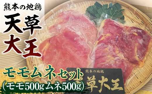 【熊本県嘉島町】FKK19-176_天草大王 モモムネセット(モモ500g・ムネ500g) 熊本県 嘉島町