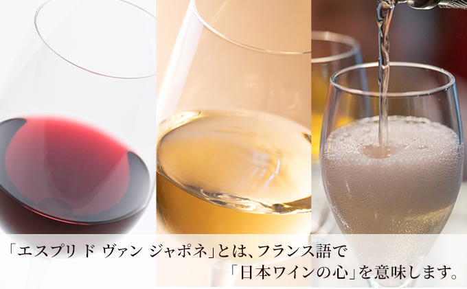 ワイン グランポレール エスプリ ド ヴァン ジャポネ 飲み比べ 3本セット 絢 -AYA-、泉 -SEN-、唯-YUI- 赤ワイン 白ワイン  スパークリングワイン サッポロビール 岡山ワイナリー