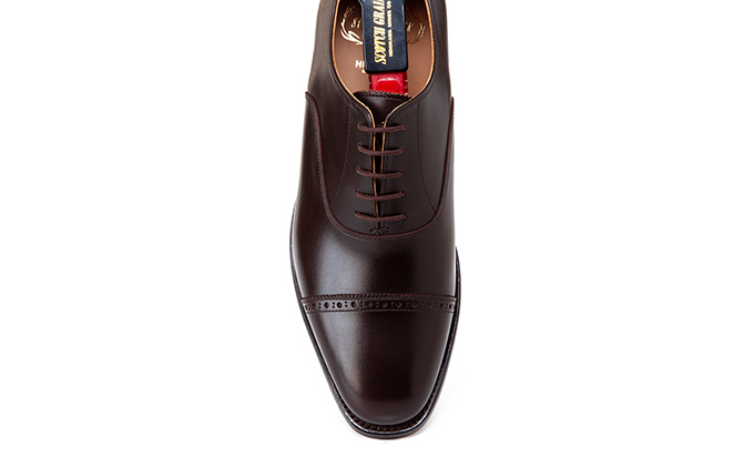 スコッチグレイン紳士靴「アシュランス」NO.3536 CHO メンズ 靴