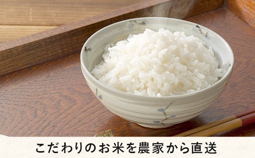 米 こしひかり 10kg ( 令和5年産 ) 黒柳さんのお米 はぜかけ 沖縄県へ