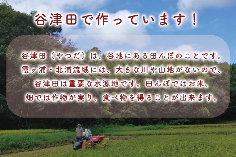 茨城県行方市のふるさと納税 K-5-1 マンゲツモチの丸もち　300g×10袋