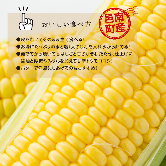 島根県邑南町のふるさと納税 糖度19度以上 朝どれスイートコーン12本/4kg以上 （2L～3L）