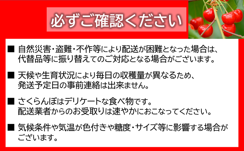 山形県南陽市のふるさと納税 【令和7年産先行予約】 さくらんぼ 「紅秀峰」 約500g (特秀 2L) 《令和7年6月下旬～発送》 『マルエ青果』 先行予約 サクランボ 果物 フルーツ 山形県 南陽市 [1406]