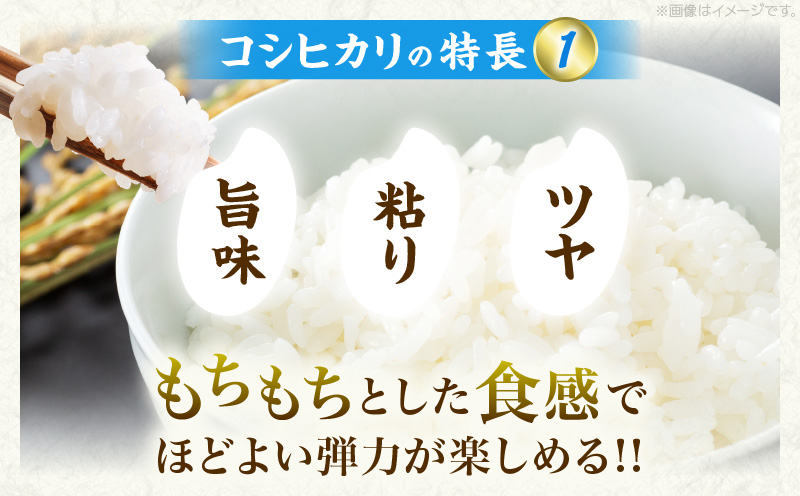 宮崎県日南市のふるさと納税 新米 コシヒカリ お米 10kg ご飯 ライス 国産 令和6年産 数量限定 期間限定 人気 食品 精米 白米 こしひかり 有洗米 おにぎり お弁当 炊き込みご飯 雑炊 ギフト プレゼント 贈り物 お取り寄せ 産地直送 宮崎県 日南市 送料無料_CC52-24