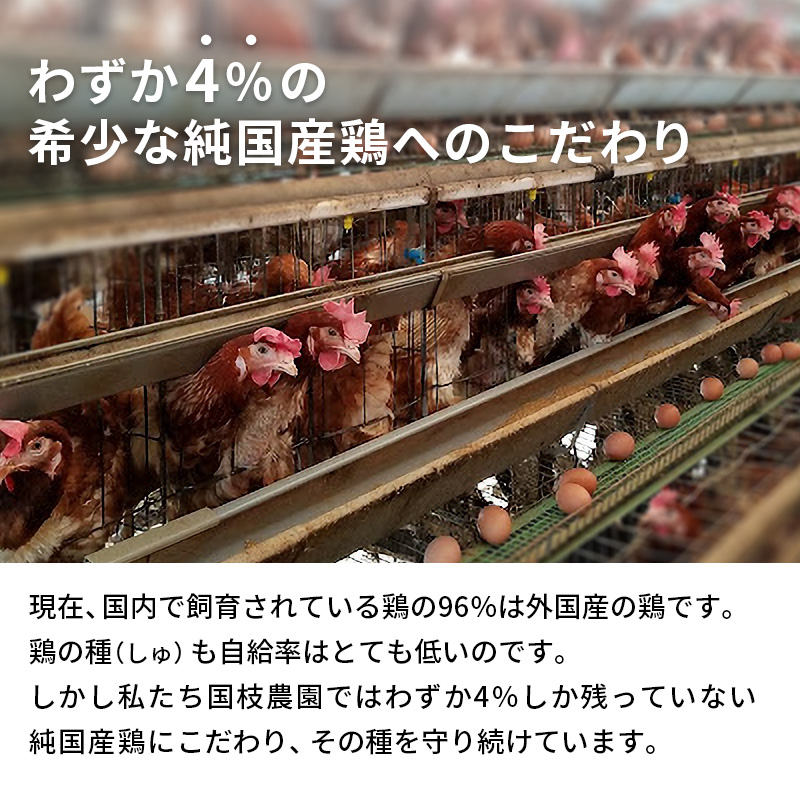 卵 わずか4%の希少な純国産鶏 いけだの森たまご 60個 こだわり おこめのたまご 玉子 鶏卵 生卵 産地直送 冷蔵配送 TKG 卵かけご飯  岐阜県産（岐阜県池田町） | ふるさと納税サイト「ふるさとプレミアム」