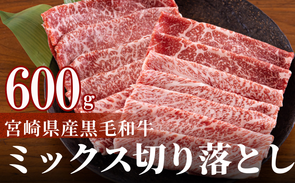y{茧z{茧Y јa ؂藎Ƃ 300g×2 v600g [{n}[PeBO {茧  31bd0013]   J^ o ~bNX Ⓚ  Y   ؗ  Ⴊ  ύ  ig ̓ ̓ v[g Mtg 蕨