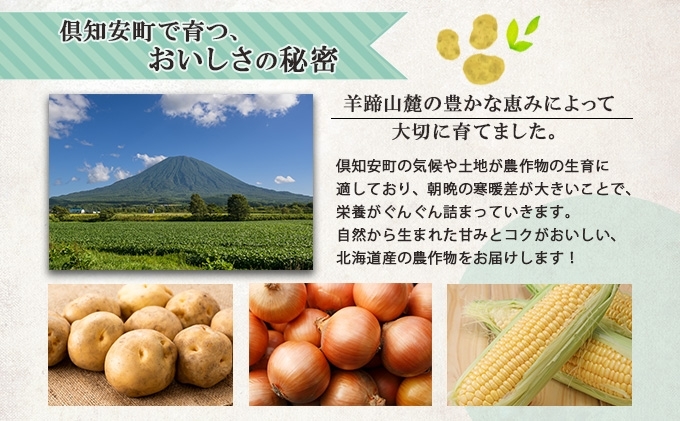 北海道産 道塚農園 じゃがいも 北あかり 計10kg前後 L-LLサイズ ジャガイモ きたあかり キタアカリ 馬鈴薯 芋 いも イモ 農作物 野菜  産地直送|道塚農園