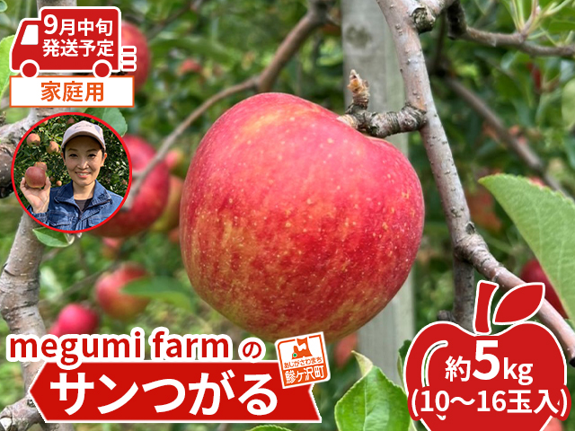 [9月中旬発送]青森県鰺ヶ沢町産りんご megumi farmのサンつがる 家庭用 約5kg(10〜16玉入)