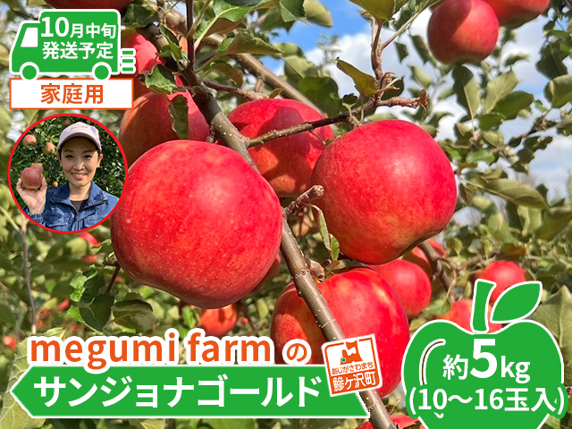 【10月中旬発送】青森県鰺ヶ沢町産りんご megumi farmのサンジョナゴールド 家庭用 約5kg（10～16玉入）