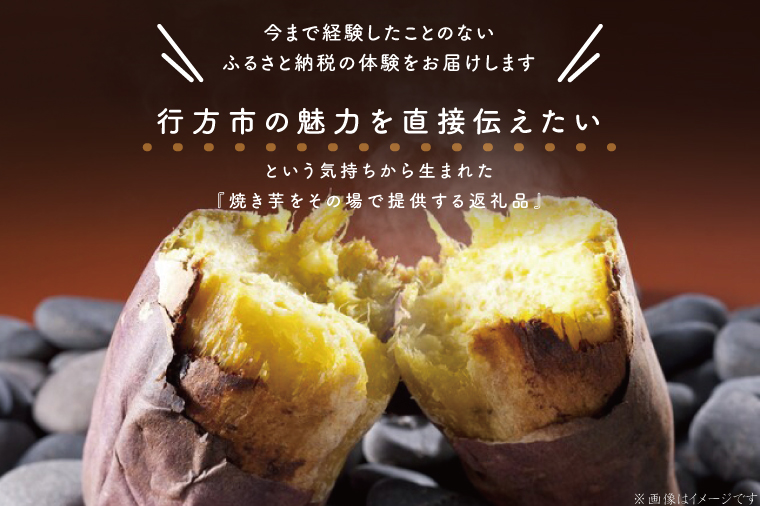 茨城県行方市のふるさと納税 CU-99【焼き芋体験】できたての焼き芋をその場で提供します！イベント行事・職場・学校・介護施設など、行方かんしょカーで出張サービス行います！