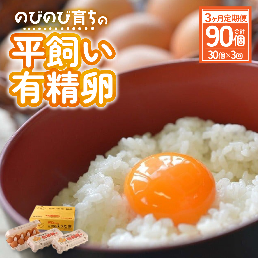 JK-04　【3ヶ月定期便】のびのび育ちの