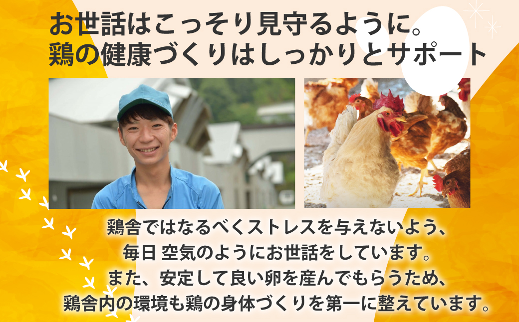 三重県多気町のふるさと納税 JK-04　【3ヶ月定期便】のびのび育ちの平飼い有精卵（30個×3ヶ月）