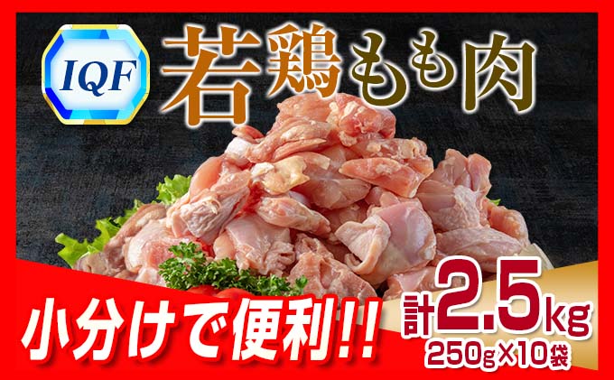 宮崎県日南市のふるさと納税 小分けで便利 カット済 若鶏 もも肉 計2.5kg 250g×10袋 肉 鶏 鶏肉 国産 おかず 食品 お肉 チキン 送料無料_BB70-22