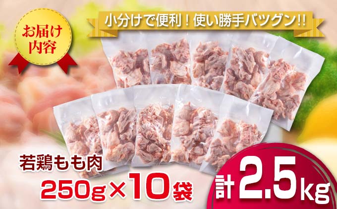 宮崎県日南市のふるさと納税 小分けで便利 カット済 若鶏 もも肉 計2.5kg 250g×10袋 肉 鶏 鶏肉 国産 おかず 食品 お肉 チキン 送料無料_BB70-22